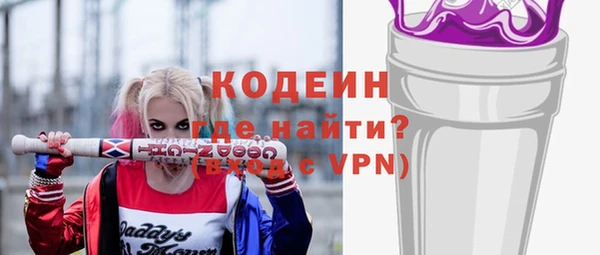 гашик Осинники