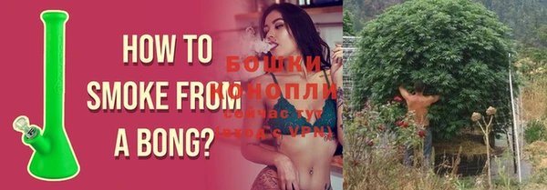 гашик Осинники