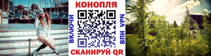 сколько стоит  omg маркетплейс  Шишки марихуана OG Kush  Беломорск 